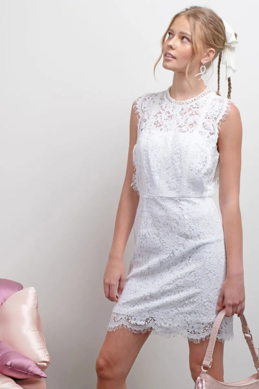 Scalloped Lace Sleeveless Dress image 1