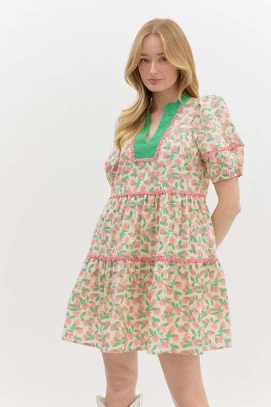 Fallon Secret Garden Babydoll Dress image 1