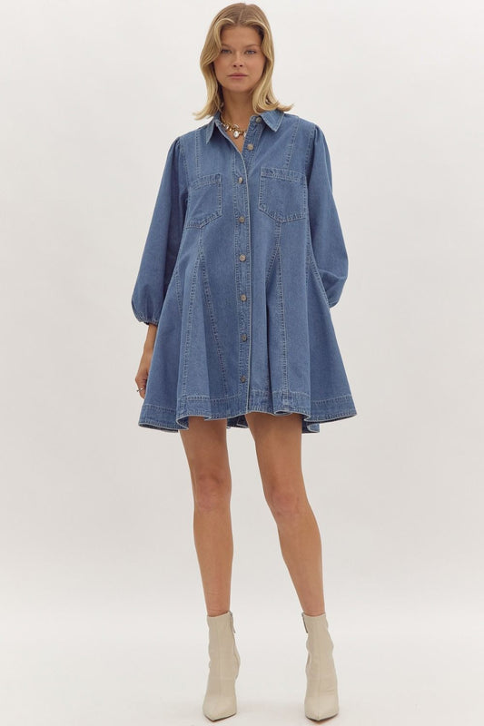 Denim Daydream Dress image 1