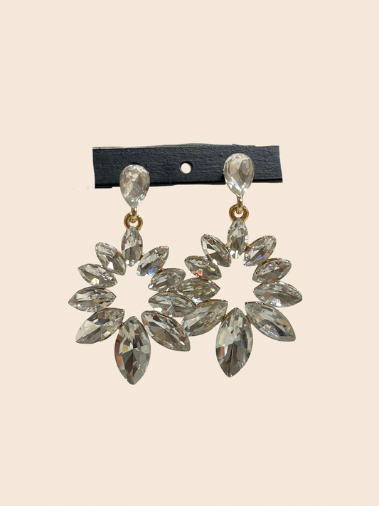 Firework Wonder Earrings  image 0