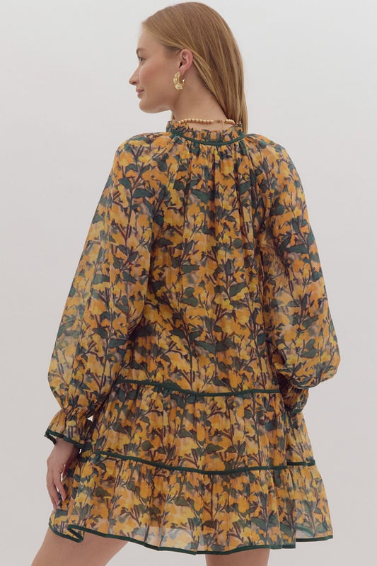 Countryside Stroll Dress image 1