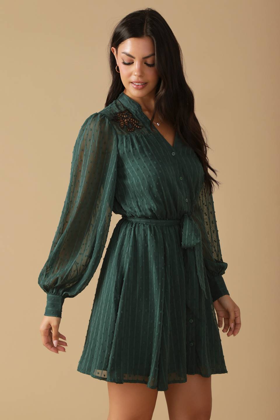 The Garden Mini Dress image 3