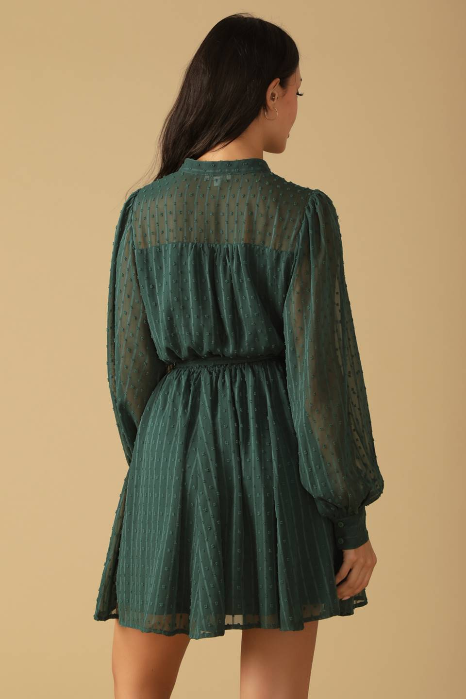 The Garden Mini Dress image 4
