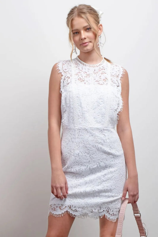 Scalloped Lace Sleeveless Dress image 0