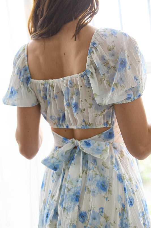 Seraphina Blythe Mini Dress  image 1