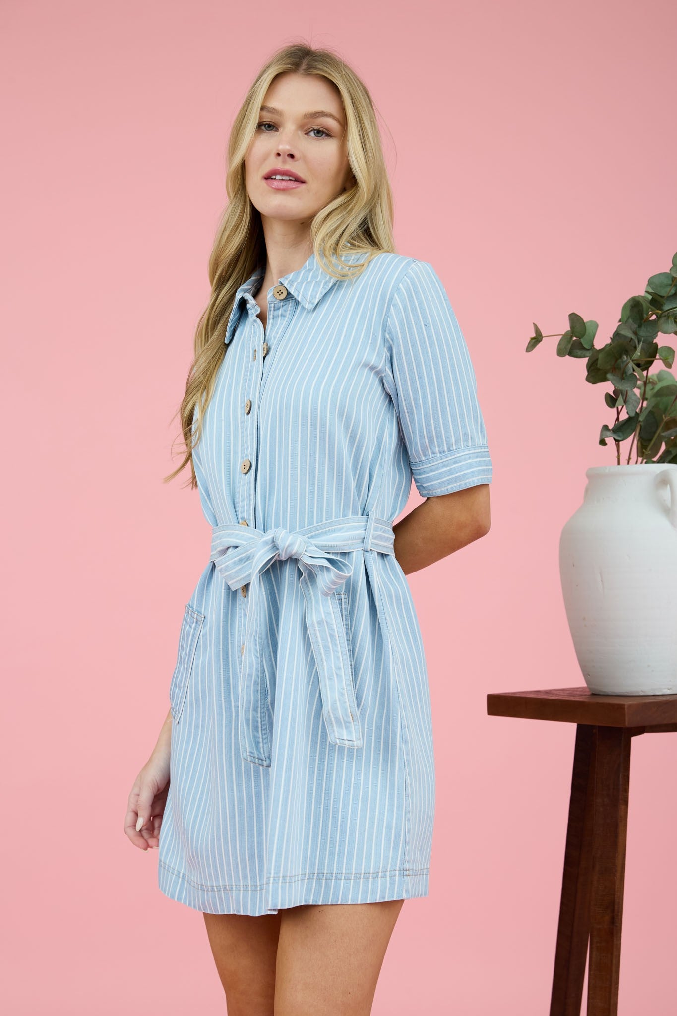 Pinstripe Denim Dress image 2