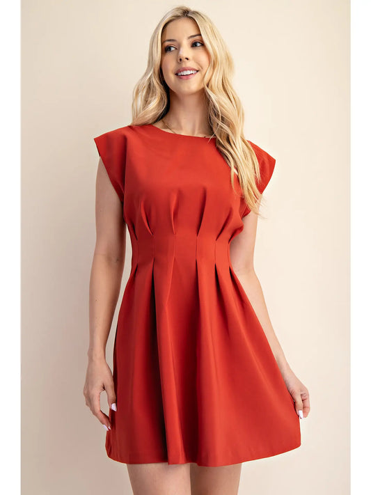 All In Waist Pleated Dress image 0