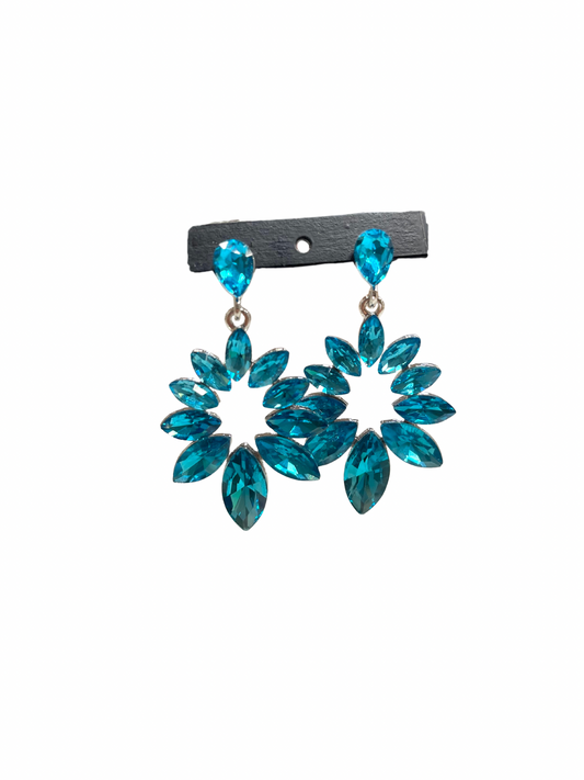 Firework Wonder Earrings  image 1